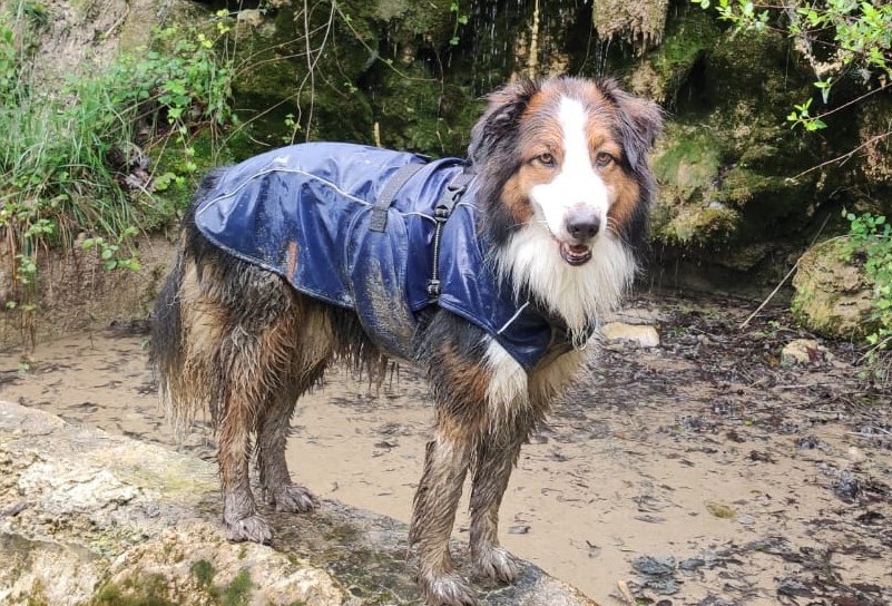 En route sur le chemin de Compostelle avec Spirit et Sandra