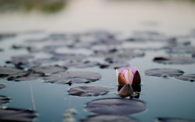 Et si la thérapie EMDR était faite pour vous ?
