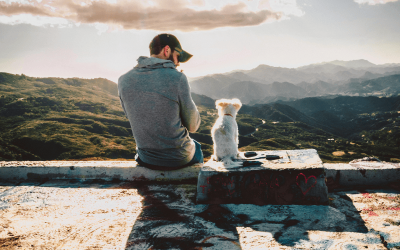 Comment accompagner les animaux en fin de vie et ce qu’ils peuvent nous transmettre ?