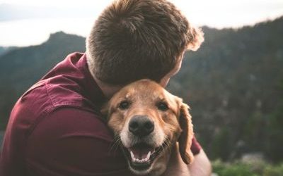 L’animal miroir : ce que votre compagnon vous reflète vraiment