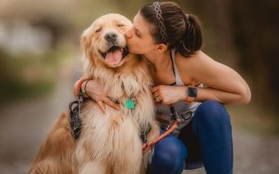 Libérer ses croyances limitantes pour accéder à la communication animale